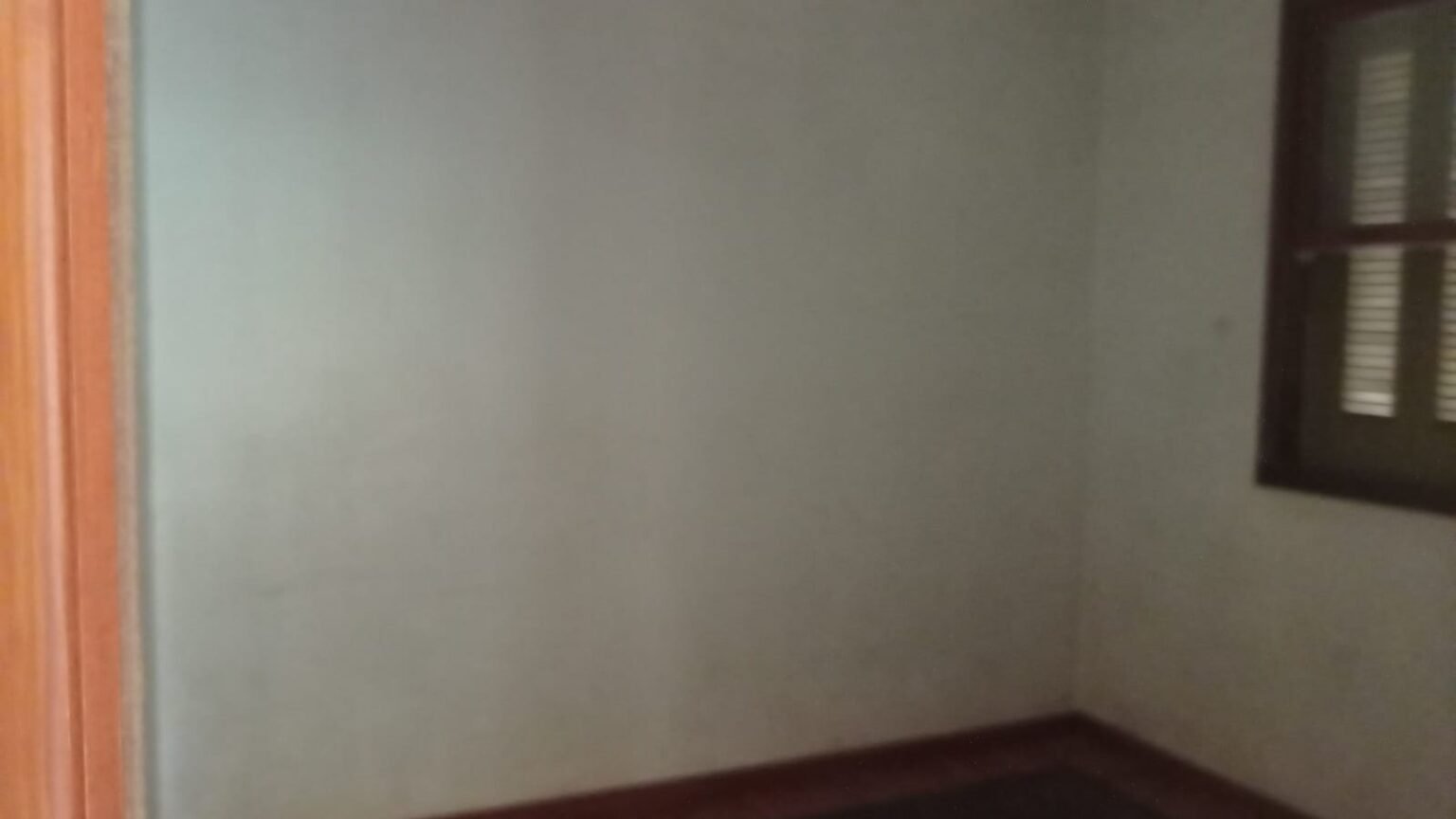 WhatsApp-Image-2025-05-07-at-16.11.13